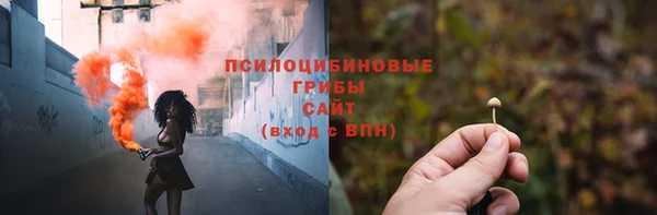 spice Касимов