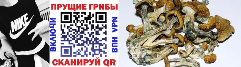 Галлюциногенные грибы мухоморы  закладки  Касли 